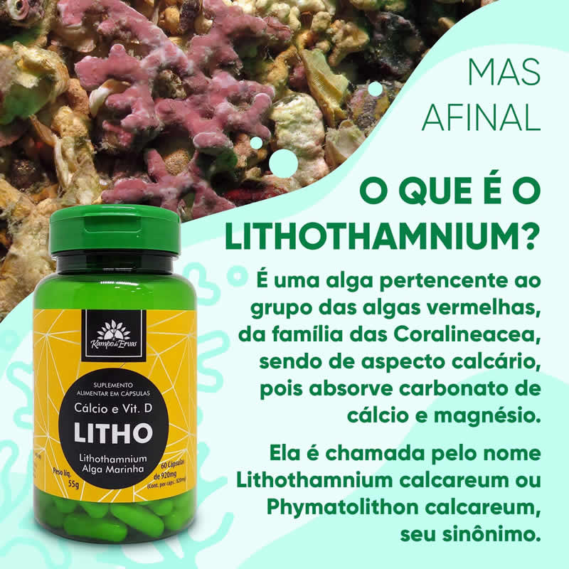 O que ? Litho, o Lithothamnium calcareum?